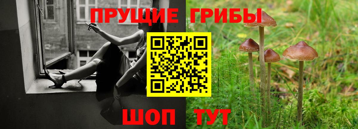 Гуково  Галлюциногенные грибы Cubensis  Вход с VPN  сколько стоит  Псилоцибиновые грибы мухоморы 